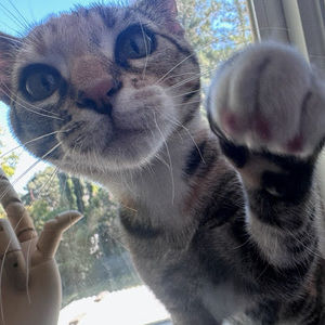 Meet your Posher, Trenton